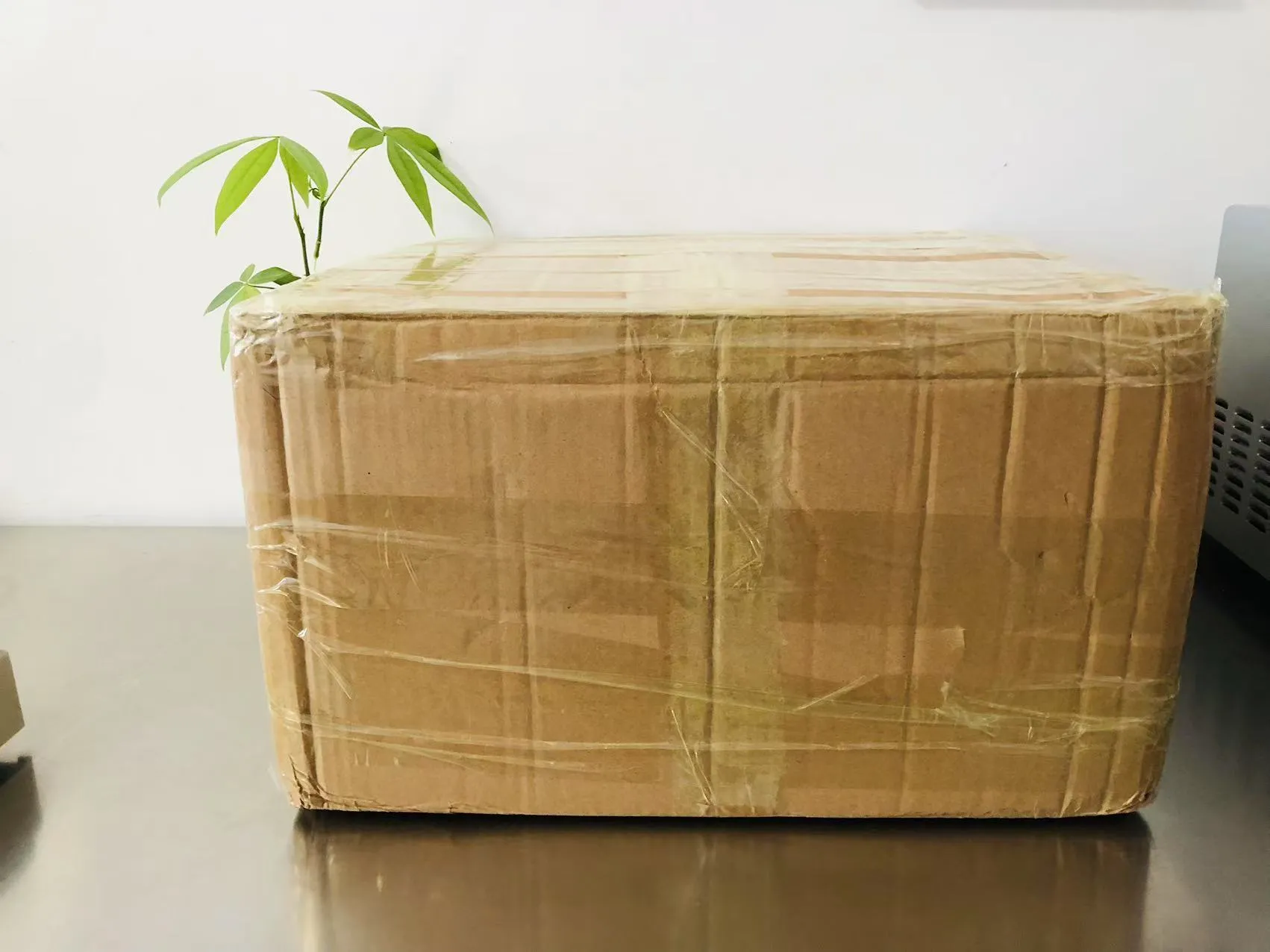 Karikatür Katı Epoksi Çıkartmalar Şimdi Japonya Yolunda